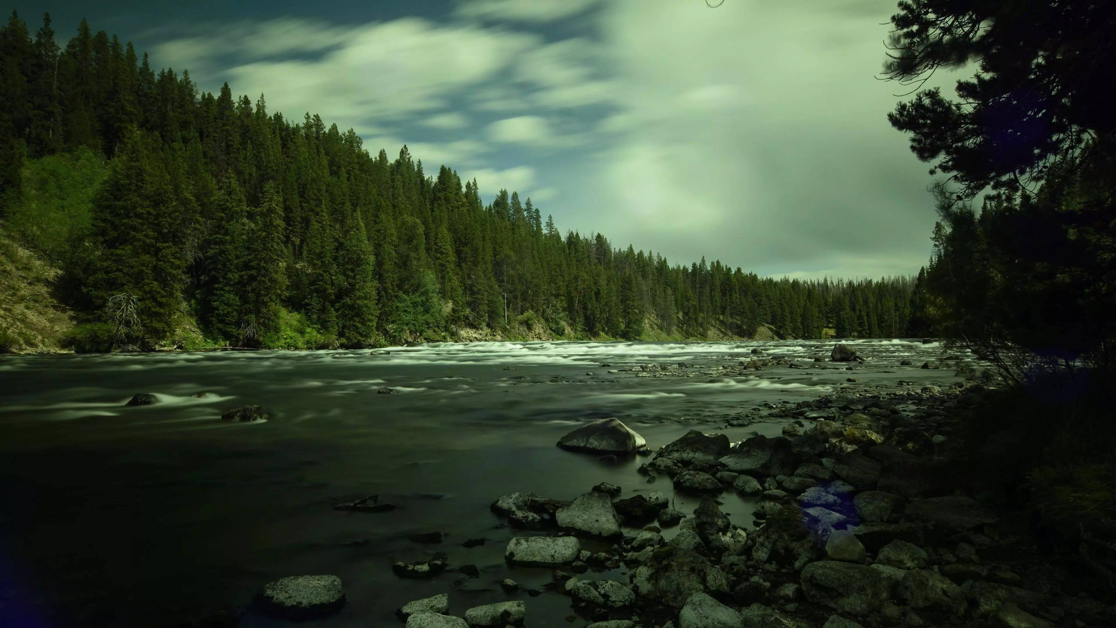 river 桌布 壁紙 — 一條霧氣瀰漫的河流在陰雲密佈的天空下，帶著柔和的綠色和灰色調，迅速流過茂密的松樹林。