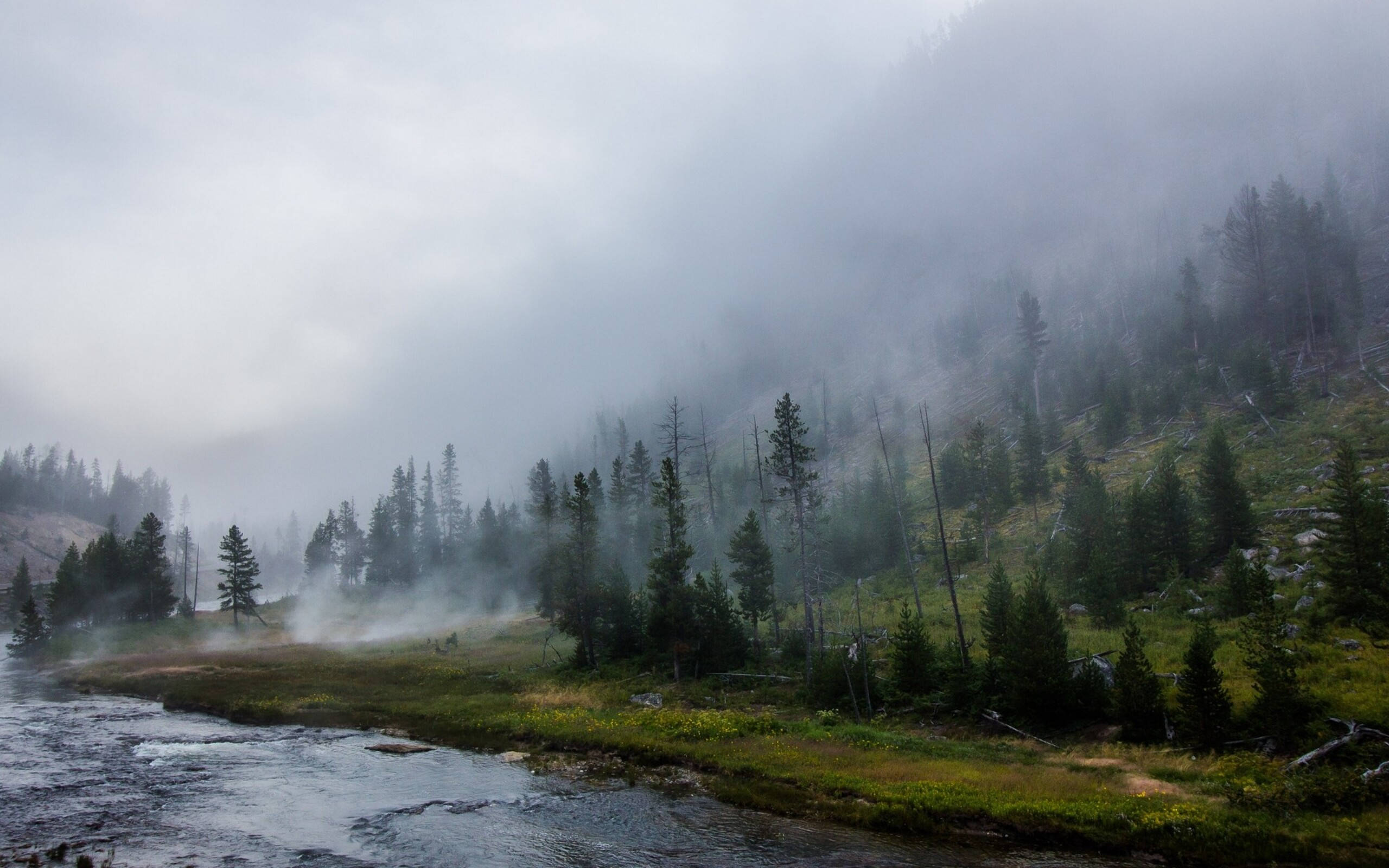 Yellowstone 桌布 壁紙 — 一條霧氣瀰漫的河流蜿蜒穿過森林覆蓋的山谷，霧氣依附在松樹和起伏的山丘上，天空多雲。