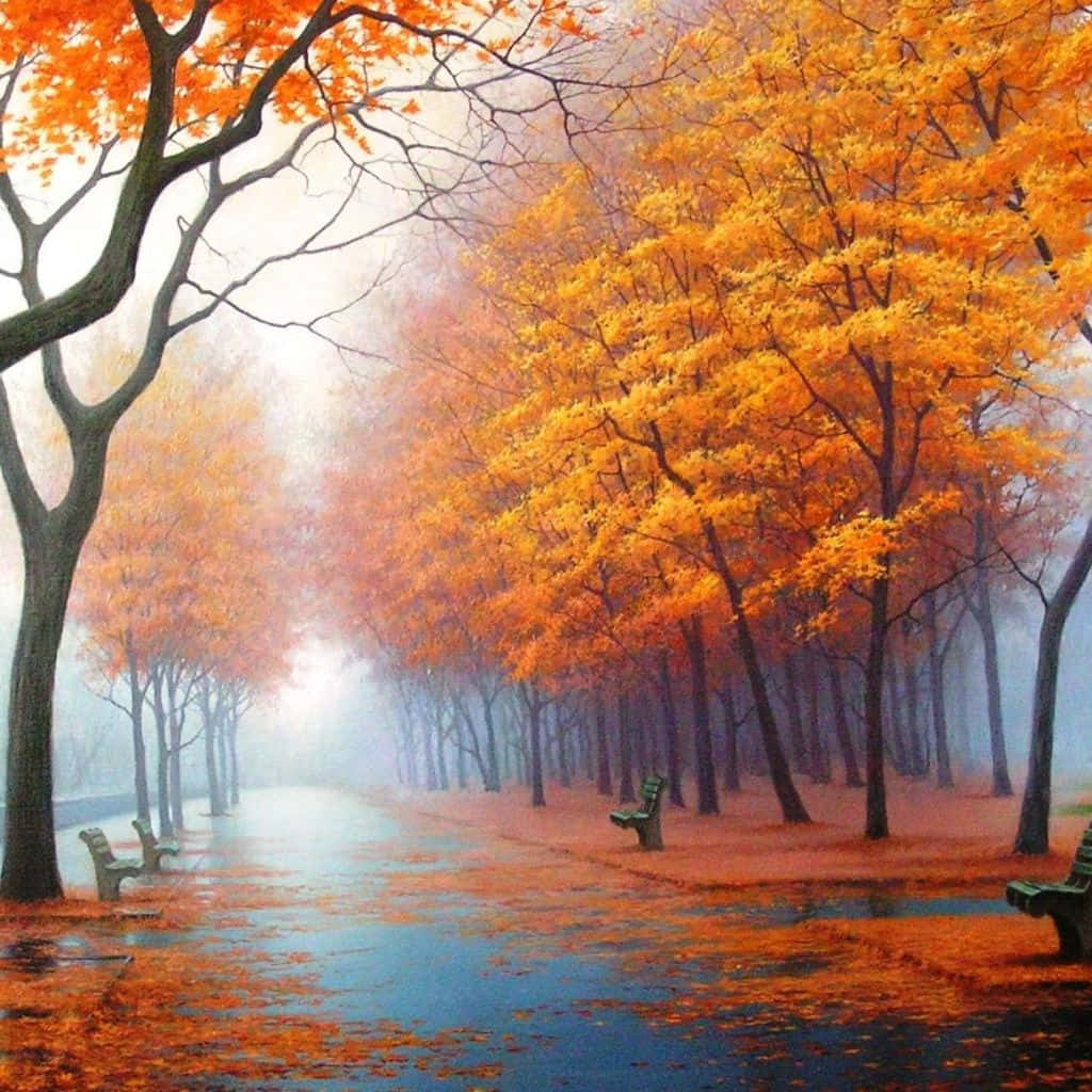 Fall iPad 桌布 壁紙 — 一條霧氣瀰漫的秋日小徑，兩旁種滿火紅的橙色樹木和長椅，在柔和晨光下倒映在濕漉漉的路面上。