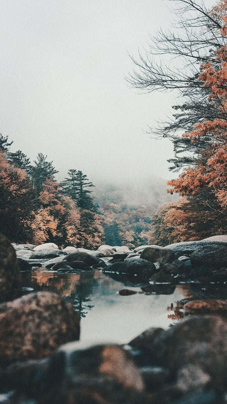 Rock 桌布 壁紙 — 一條霧氣瀰漫的秋日河流蜿蜒穿過岩石地形，兩旁樹木的葉子呈現火紅的橙色和柔和的綠色，天空多雲。