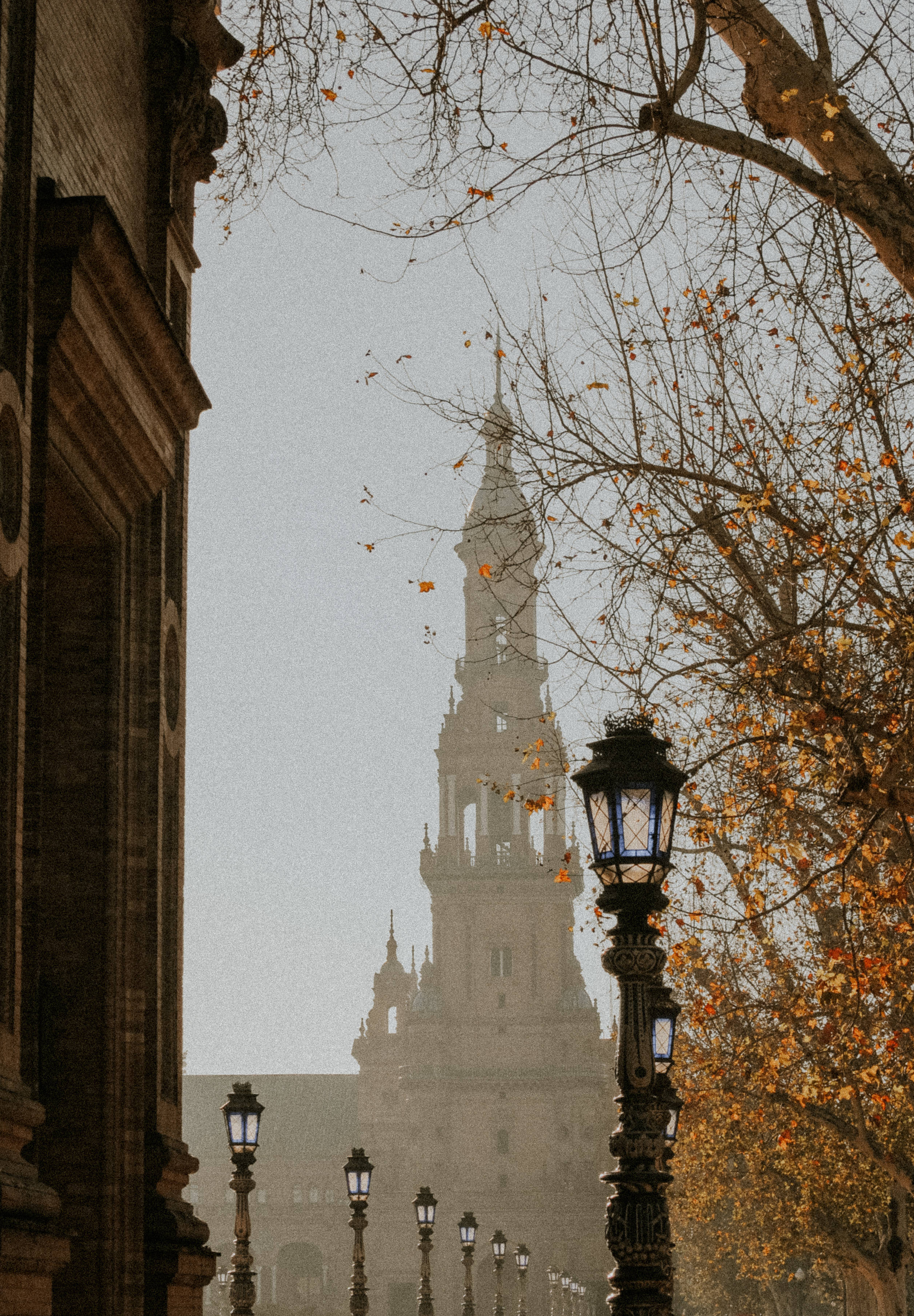Seville 桌布 壁紙 — 一條霧氣瀰漫的秋日街道，由光禿的樹枝和復古路燈框住，通往遠處的大教堂尖頂。