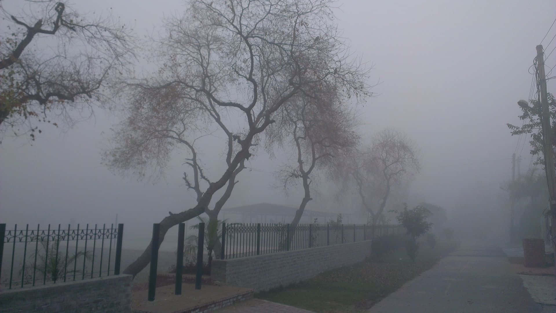 Aesthetic Gray 桌布 壁紙 — 一條霧氣瀰漫的街道，兩旁是光禿禿的樹木和黑色圍欄，能見度降低至一片迷濛。