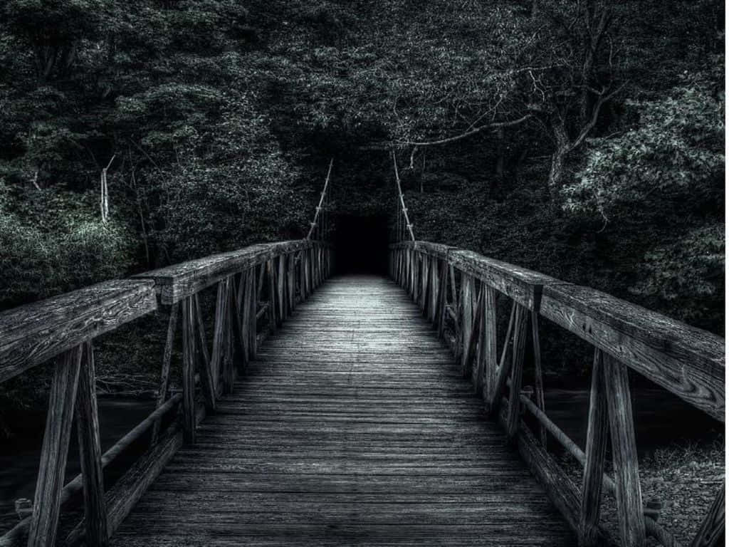 Dark Nature 桌布 壁紙 — 一條風化的木橋延伸進黑暗的森林隧道，上方是茂密的樹冠。