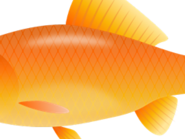 金魚 桌布 壁紙 — 一條風格化的橙色魚，帶有鑽石鱗片和條紋鰭，在純黑色背景上游動。