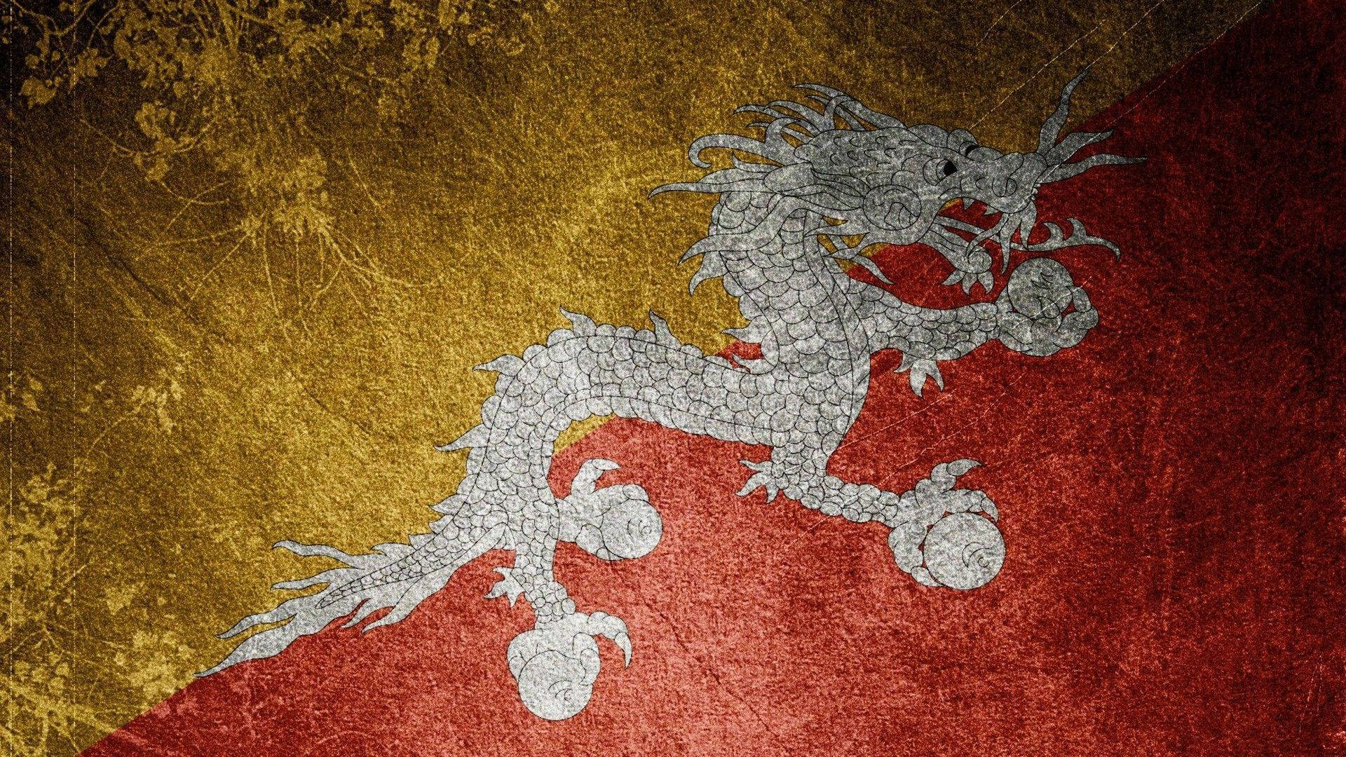 一條白色龍在帶有蝴蝶圖案的紅金紋理旗幟上。
