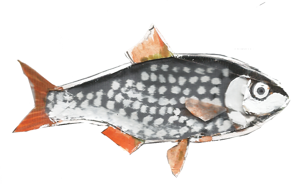 Carp 桌布 壁紙 — 一條風格化的魚，銀色斑點身體和橙色魚鰭，襯托在純黑背景上。