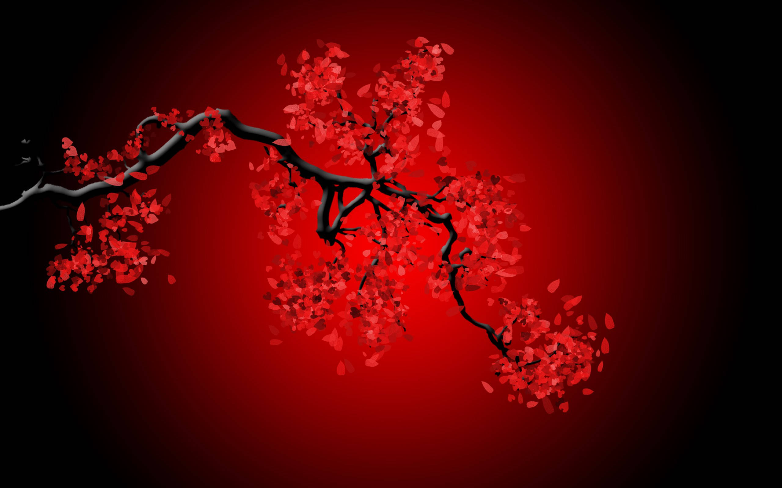Black And Red 桌布 壁紙 — 一條鮮明的黑櫻桃枝條在漸層深紅背景下綻放出鮮豔的紅花。