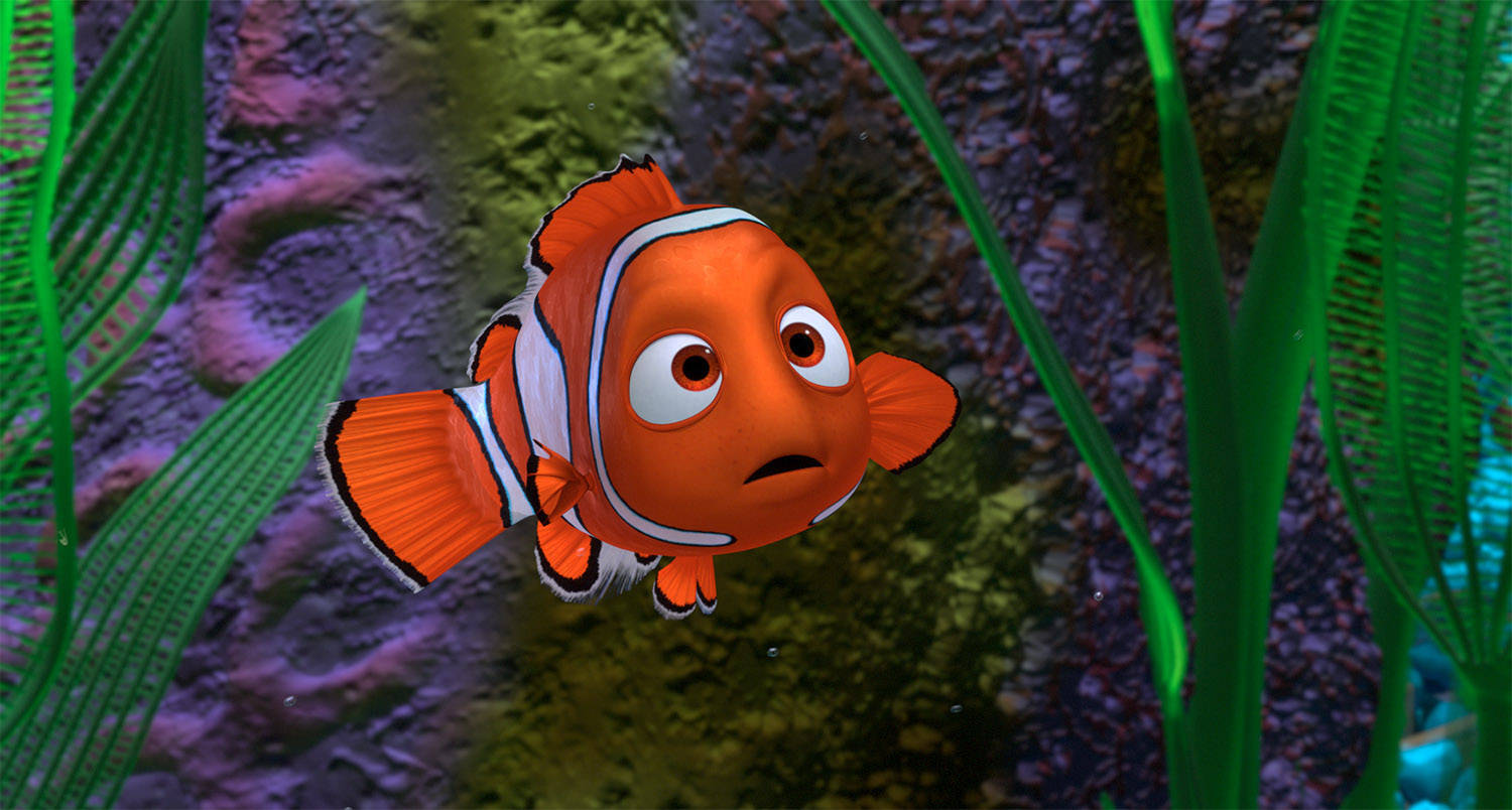nemo 桌布 壁紙 — 一條鮮橙色帶白色條紋的小丑魚在色彩繽紛的珊瑚礁中靠近綠色海藻游動。