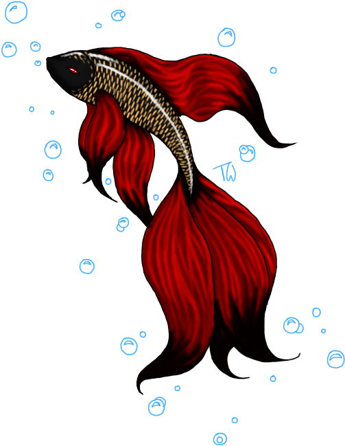 魚 桌布 壁紙 — 一條鮮紅色的鬥魚，魚鰭飄逸，在漆黑的背景下，於發光的藍色氣泡中優雅地游動。