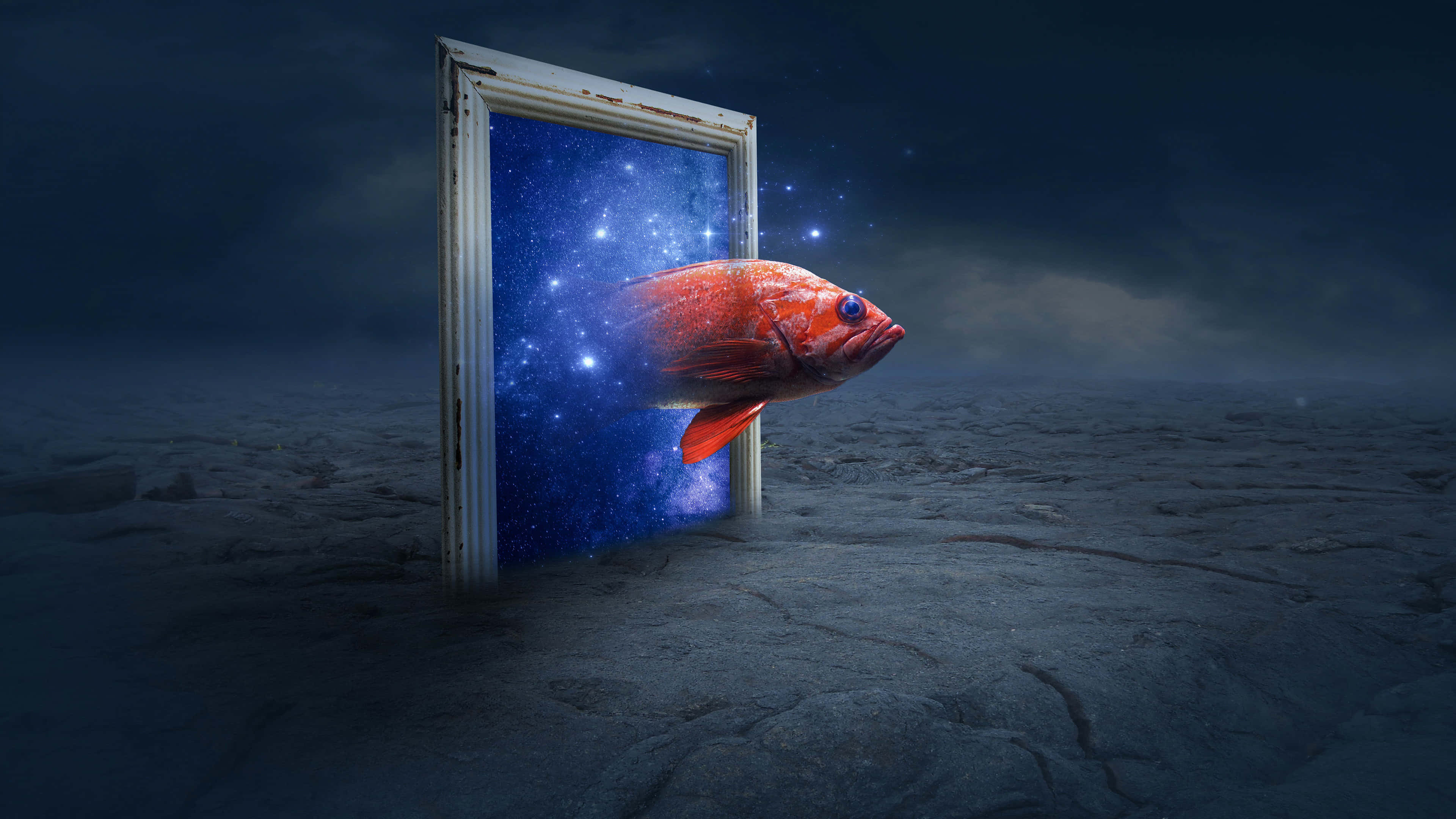 Door 桌布 壁紙 — 一條鮮紅色的魚游過一道飽經風霜的門口，進入一個繁星點點的宇宙虛空，背景是黑暗龜裂的大地。