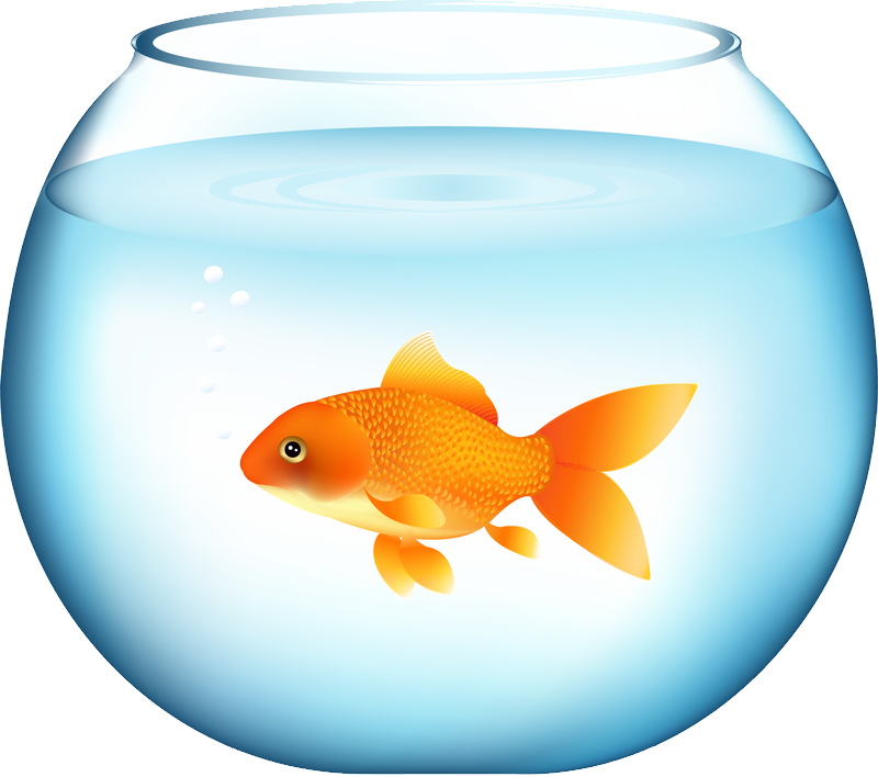 金魚 桌布 壁紙 — 一條鮮豔的橙色金魚在清澈的藍色水碗中優雅地游動，伴隨著輕柔上升的氣泡。