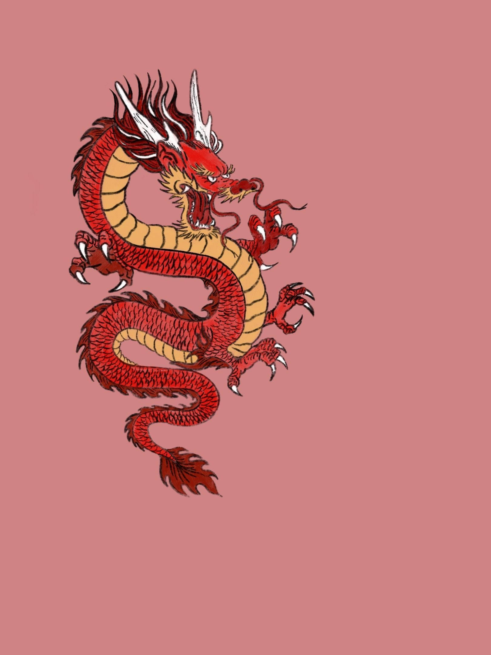 龍 桌布 壁紙 — 一條鮮豔的紅金色中國龍，帶有白色角和爪，在純色的塵土玫瑰色背景上動態盤繞。