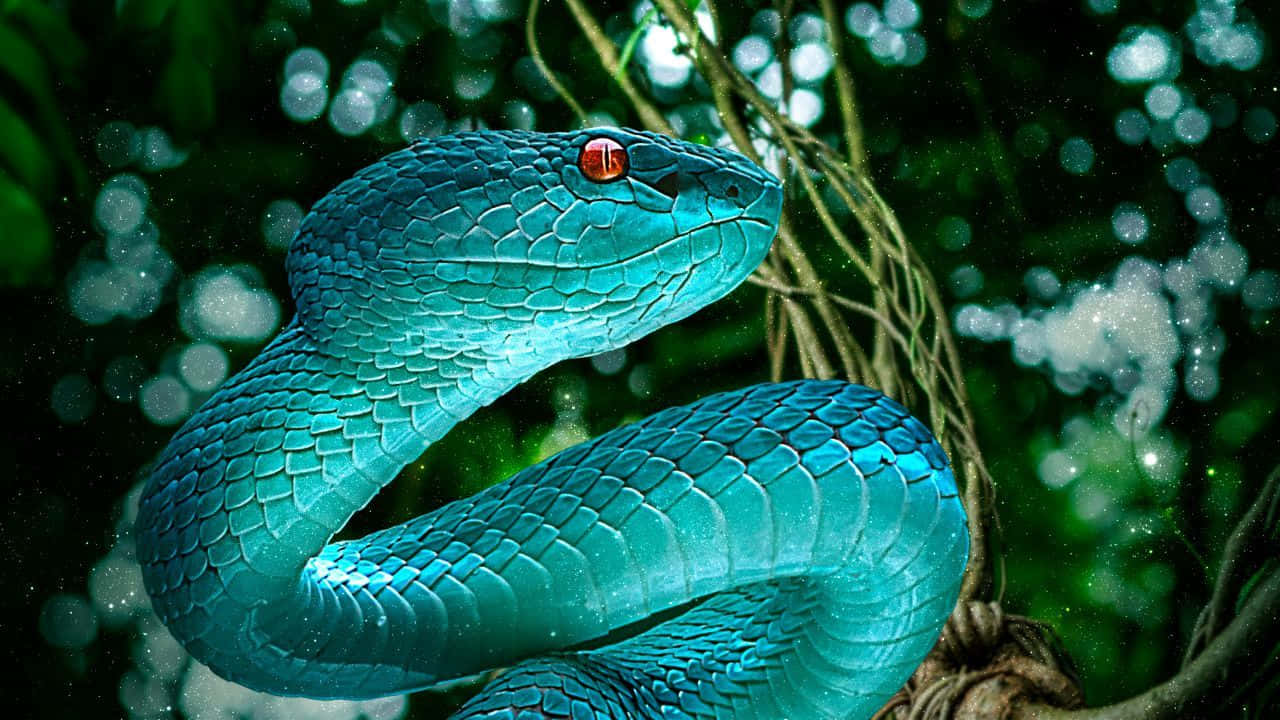 Rattlesnake 桌布 壁紙 — 一條鮮豔的藍綠色蛇，帶有發光的紅色眼睛，優雅地纏繞在茂密的綠色樹葉和纏結的藤蔓之間。