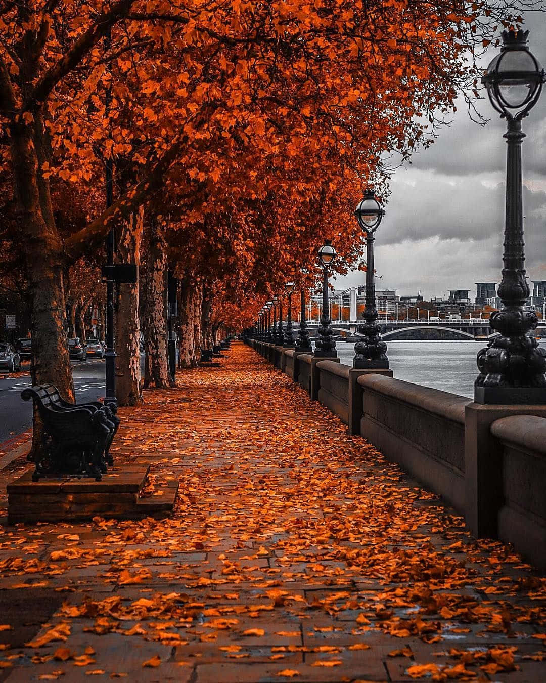 Beautiful Autumn 桌布 壁紙 — 一條鵝卵石小徑，兩旁種滿火紅橙色的秋樹和復古路燈，在陰沉的灰色天空下通往一條河流。