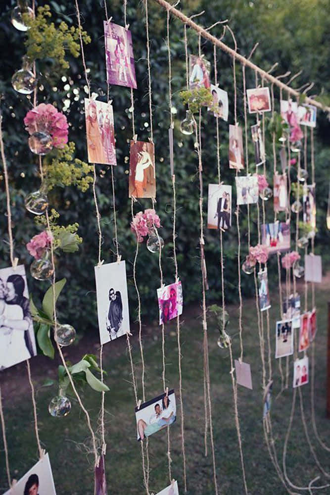 Hanging 桌布 壁紙 — 一條麻繩掛著玻璃球內的照片和粉紅色花朵，在柔和的晚光中映襯著綠色樹葉。