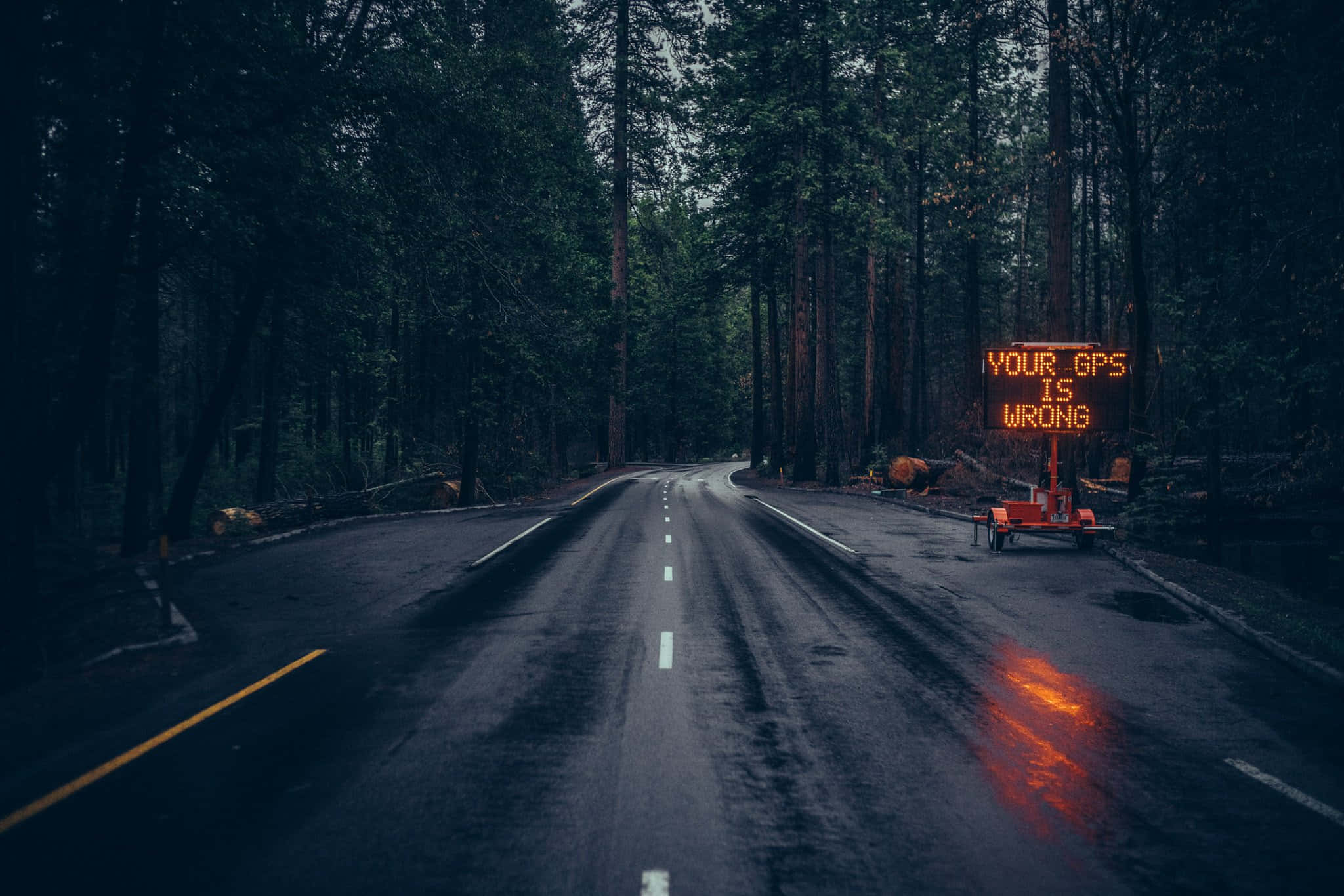 Road 桌布 壁紙 — 一條黑暗的森林道路蜿蜒向前，有一個發光的橙色標誌寫著你的GPS錯了。