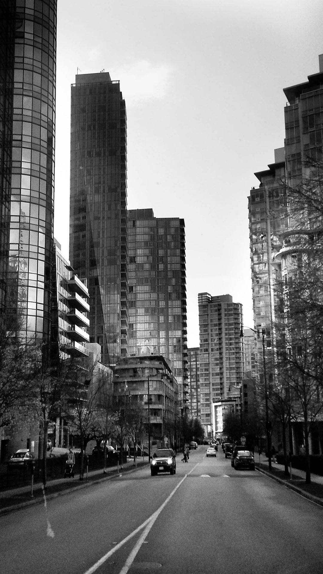Skyscraper 桌布 壁紙 — 一條黑白城市街道，兩旁是高聳的玻璃摩天大樓，路上有汽車和光禿禿的樹木。