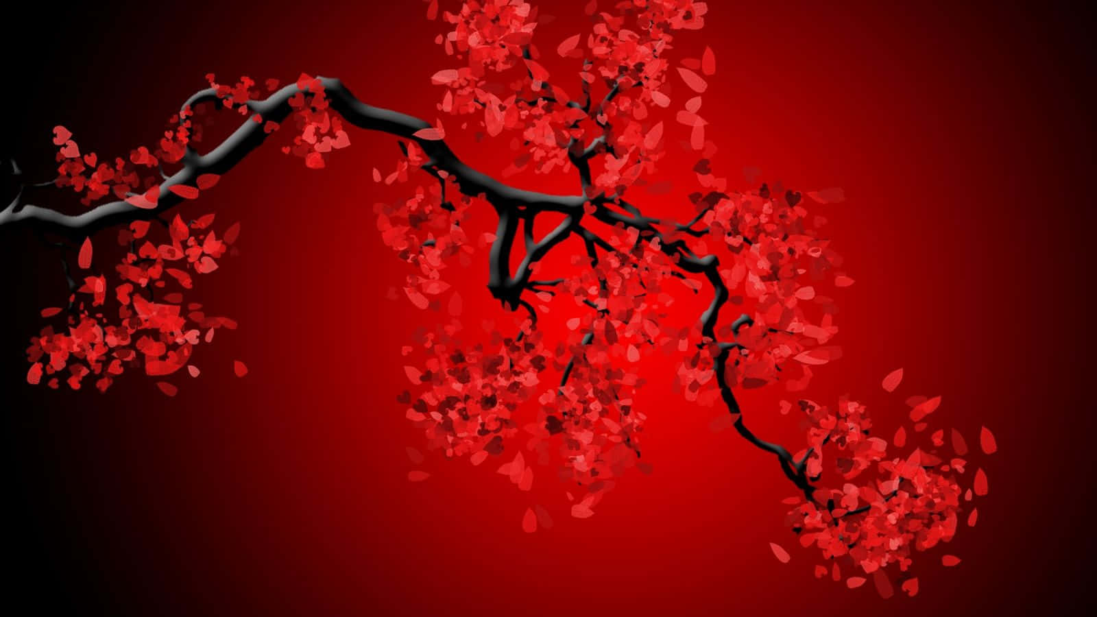 櫻桃 桌布 壁紙 — 一條黑色櫻花枝條在深紅漸層背景上綻放出鮮豔的紅色花瓣。