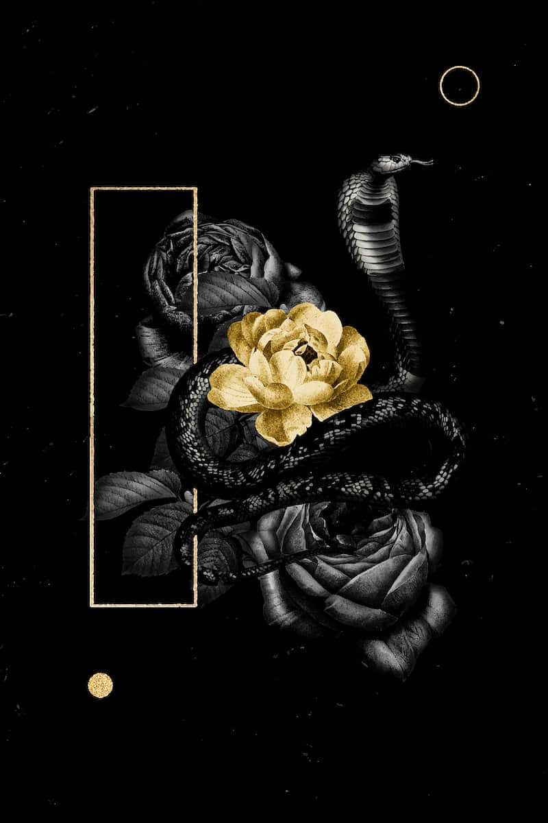 Black And Gold Aesthetic 桌布 壁紙 — 一條黑色眼鏡蛇纏繞著黑色玫瑰，中央有一朵金色玫瑰，背景是星空黑色，並以金色幾何形狀框住。