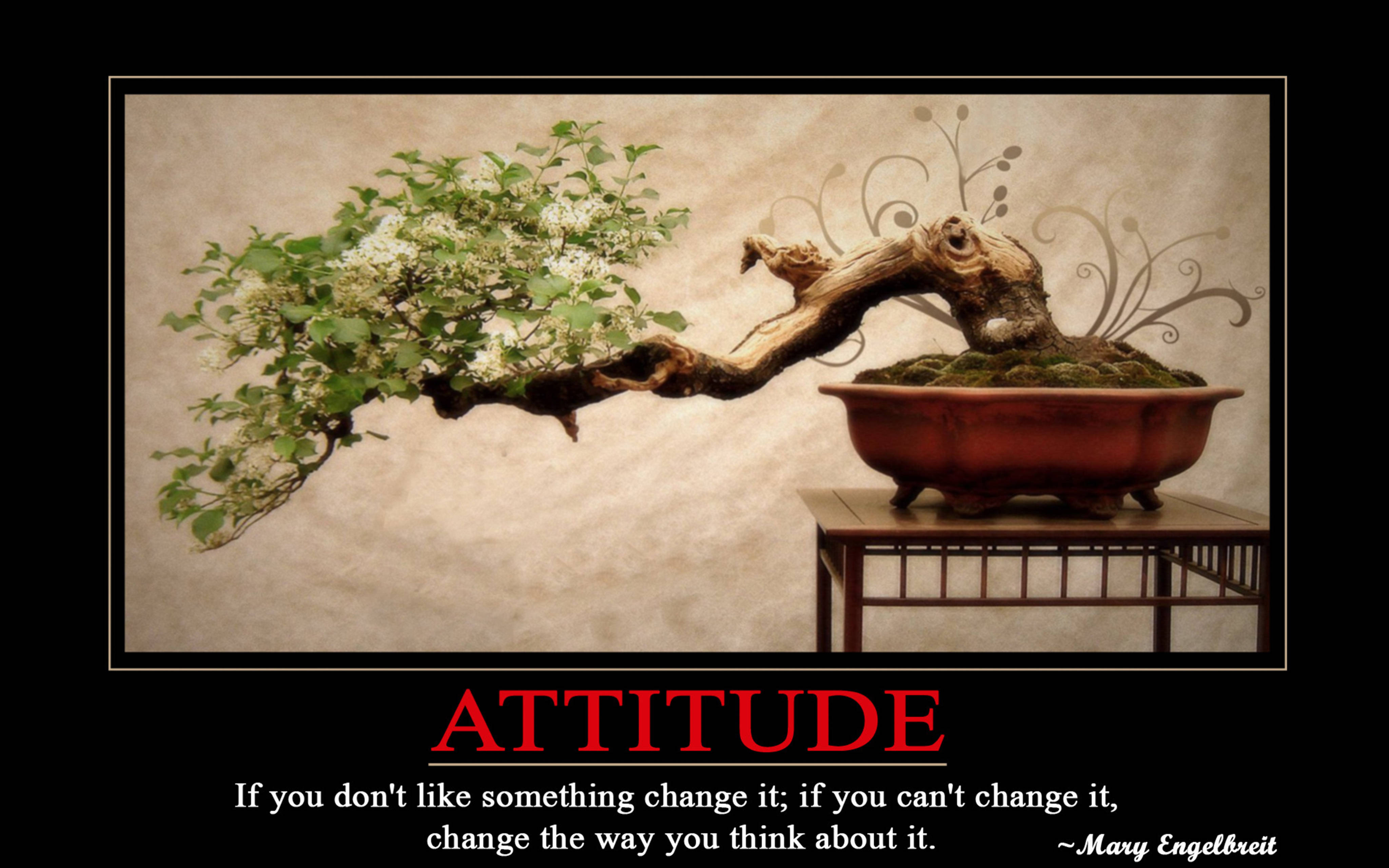 attitude 4K 桌布 壁紙 — 一棵優雅彎曲的盆景樹，帶有綠葉和白色花朵，放在紅色花盆中，置於木架上，背景是帶紋理的米色牆壁。