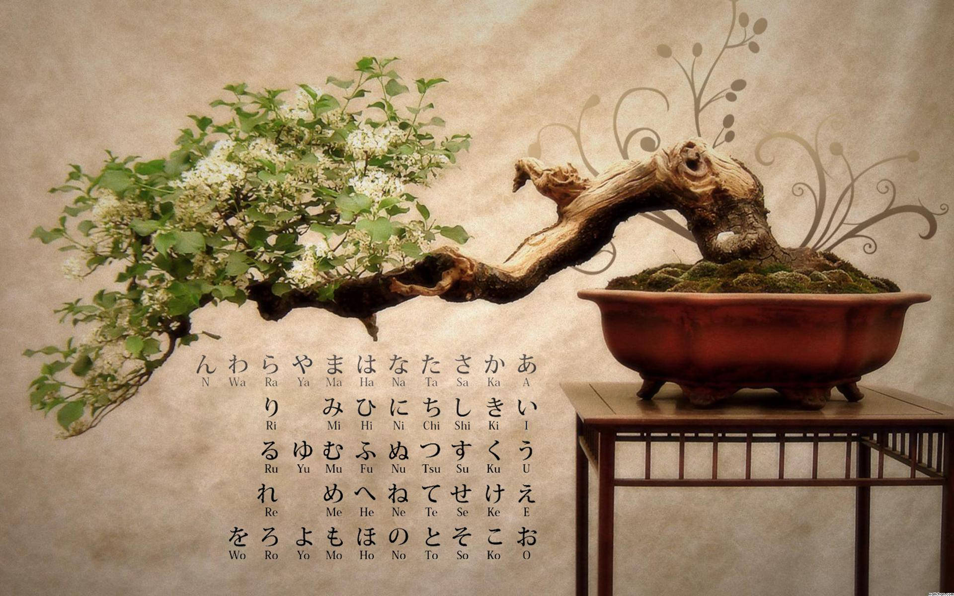 日式 桌布 壁紙 — 一棵優雅彎曲的盆景樹，開著白色的花朵，放在紅色花盆中，置於木架上，背景是帶有日文字元的紋理米色牆壁。