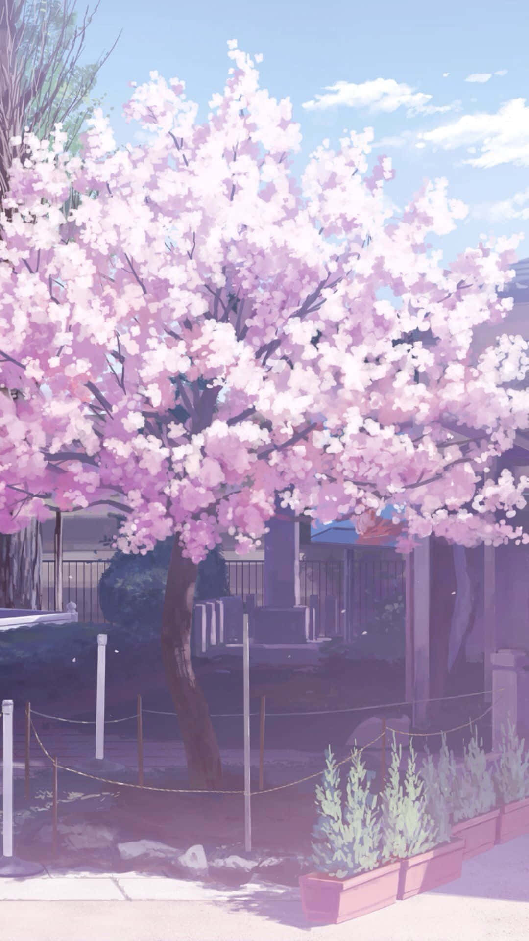 Pink Trees 桌布 壁紙 — 一棵充滿活力的動漫風格櫻花樹，在晴朗藍天和柔和雲朵下盛開粉紅色花朵。