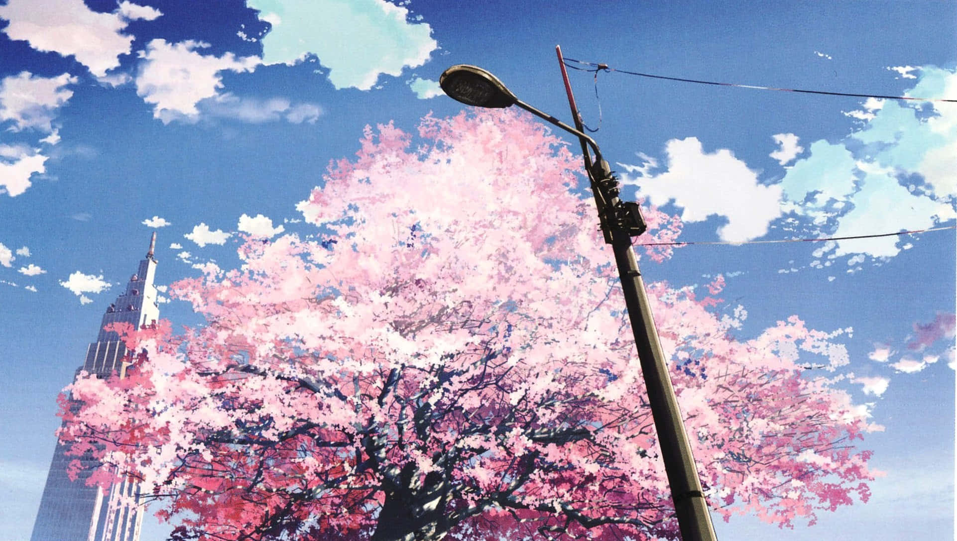 Cherry Blossom Tree 桌布 壁紙 — 一棵充滿活力的動漫風格櫻花樹盛開，聳立在城市街道上，背景是晴朗的藍天和蓬鬆的白雲。