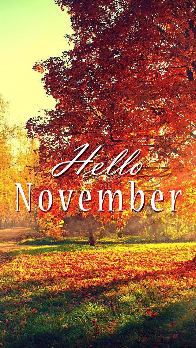 Autumn Season 桌布 壁紙 — 一棵充滿活力的秋樹，帶有火紅的樹葉，站在陽光明媚的田野中，覆蓋著落葉，在金色的天空下。
