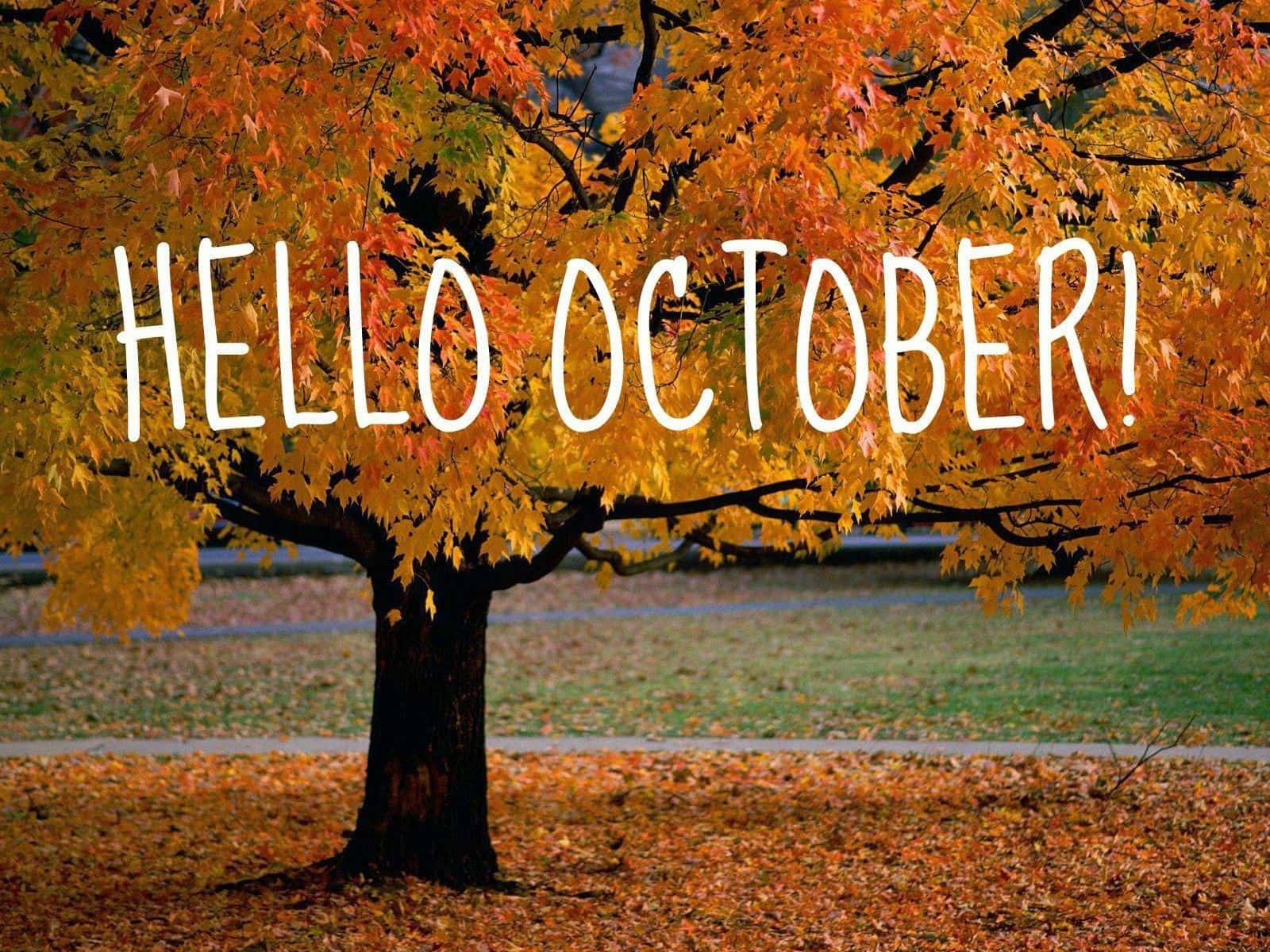 October 桌布 壁紙 — 一棵充滿活力的秋樹，帶有金橙色樹葉，矗立在公園中，場景上覆蓋著「哈囉十月！」的文字。