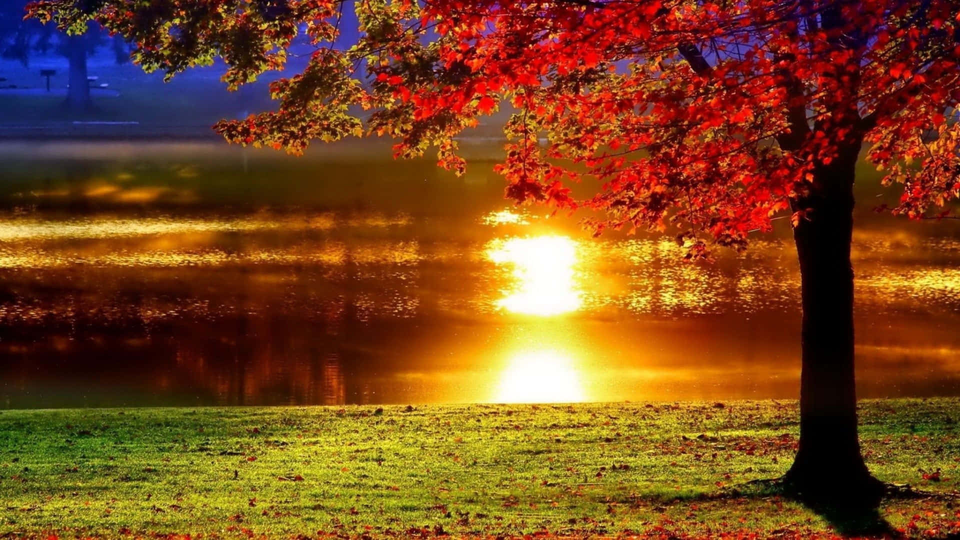 日落時分，湖邊的秋樹紅葉，金色倒影。 — 1920x1080 4K 壁紙
