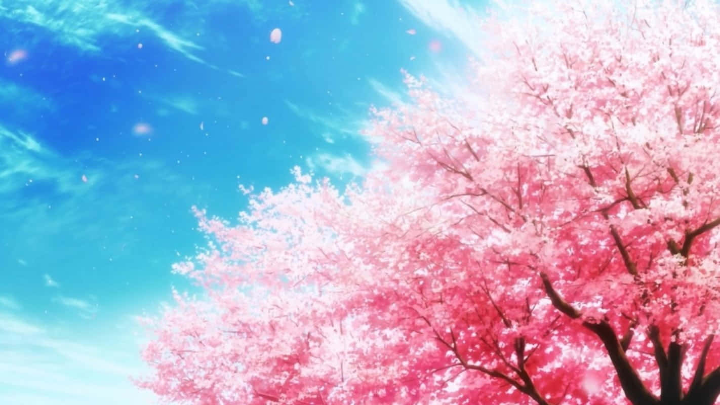 Anime Cherry Blossom 桌布 壁紙 — 一棵充滿活力的粉紅色櫻花樹在明亮的藍天下盛開，伴隨著柔軟的雲朵和飄落的花瓣。