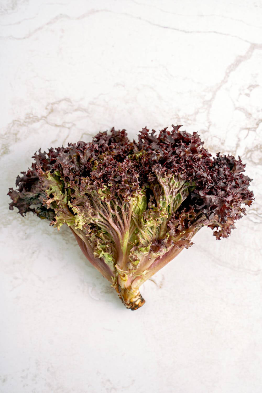 Vegetables 桌布 壁紙 — 一棵充滿活力的紫色皺葉萵苣，帶有綠色莖，放在白色大理石表面上。