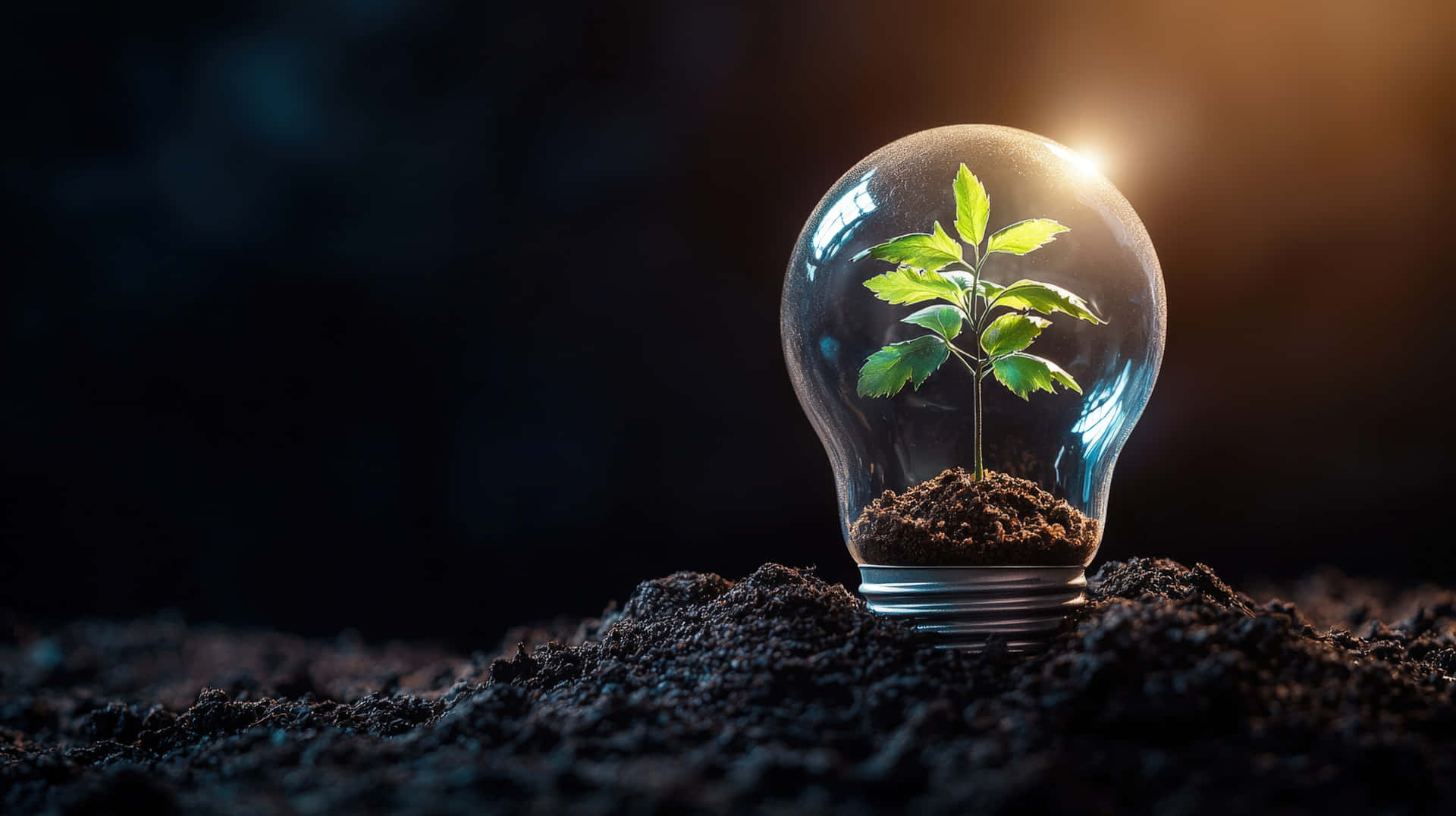 Small Plant Growing Inside a Lightbulb 壁紙 — 一棵充滿活力的綠色幼苗從透明玻璃燈泡內的土壤中長出，背後有發光的陽光光束。