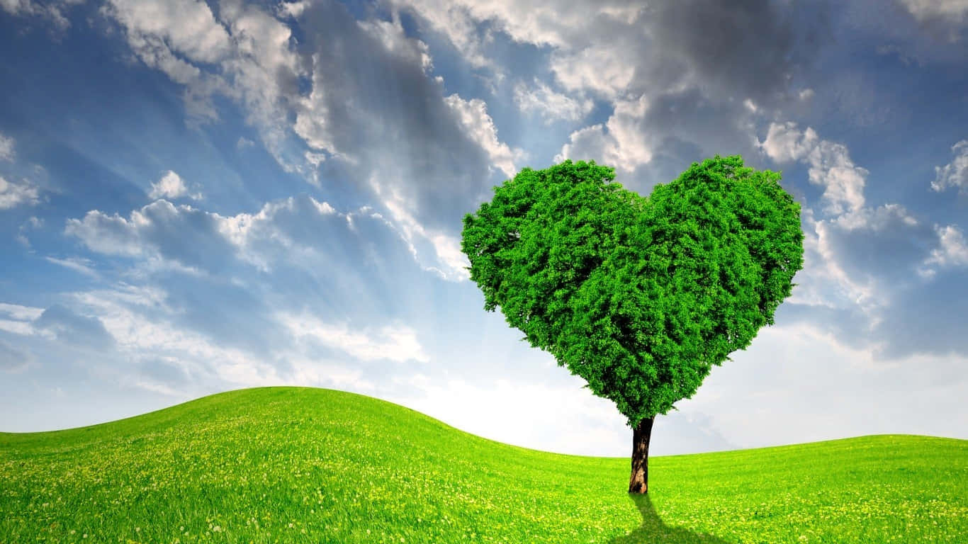 Green Heart 桌布 壁紙 — 一棵充滿活力的綠色心形樹獨自矗立在起伏的草地上，背景是戲劇性的藍天和蓬鬆的白雲。