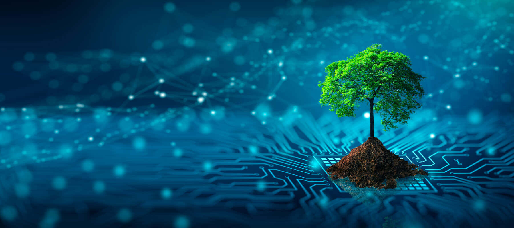 Tree 桌布 壁紙 — 一棵充滿活力的綠色樹木從發光藍色電路板上的土堆中長出，電路板上有相互連接的數字節點。