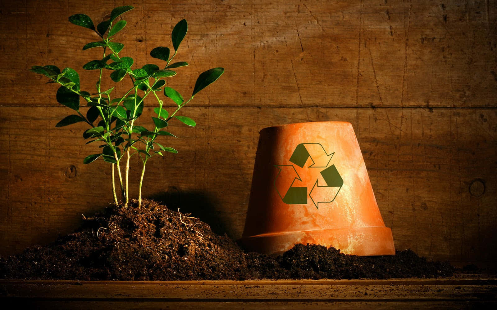 Recycling 桌布 壁紙 — 一棵充滿活力的綠色樹苗從泥土中長出，旁邊是一個帶有回收標誌的翻轉陶土花盆，背景是質樸的木質背景。