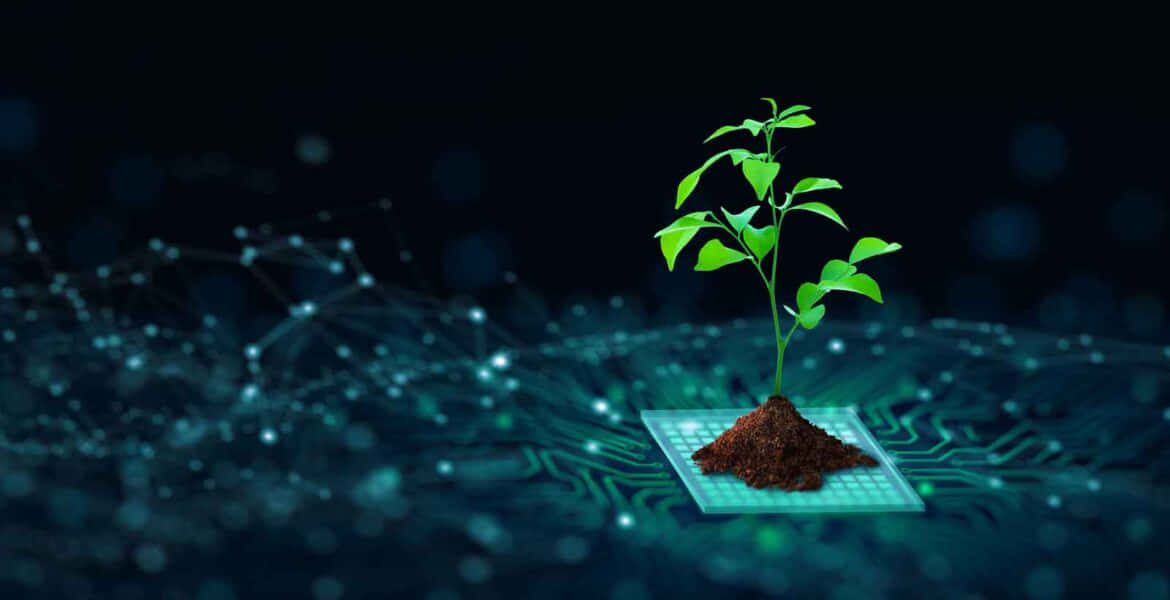 Plant 桌布 壁紙 — 一棵充滿活力的綠色樹苗從發光電路板上的土壤中長出，背景是黑暗的數位網路。