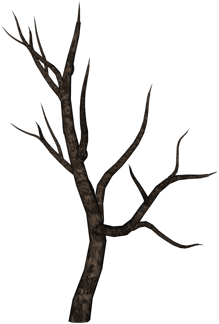 Tree Branch 桌布 壁紙 — 一棵光禿禿的樹，樹枝彎曲多節，孤立地矗立在純黑色背景上。