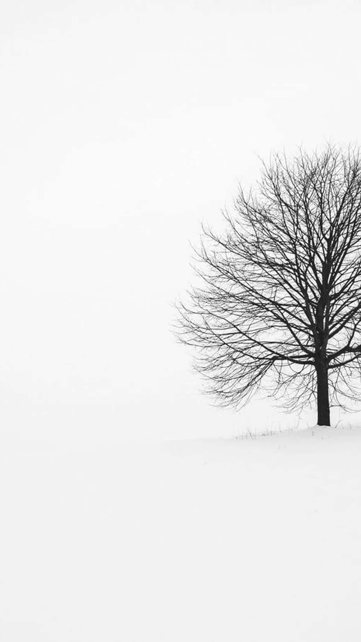 White iPhone 桌布 壁紙 — 一棵光禿禿的樹孤獨地矗立在白雪覆蓋的山丘上，天空是陰沉的冬日天空。