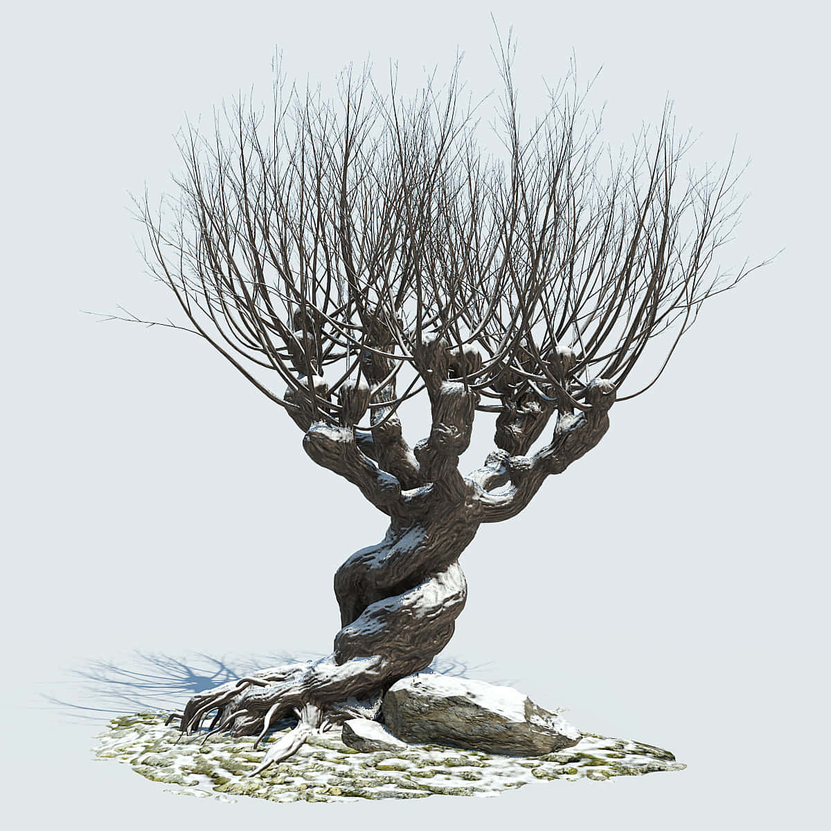 The Whomping Willow 桌布 壁紙 — 一棵多節無葉、枝幹扭曲的樹，立在雪覆蓋的岩石上，背景是淺灰色。