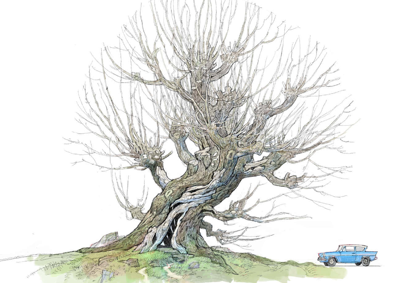 The Whomping Willow 桌布 壁紙 — 一棵多節無葉的樹，帶有複雜的樹枝，主導著一片草地山坡，旁邊停著一輛復古藍色汽車。
