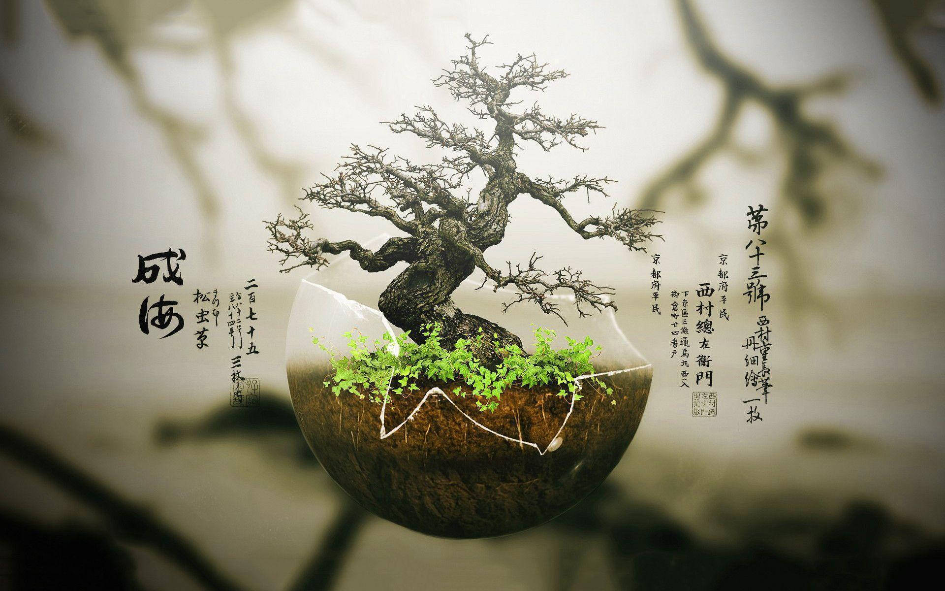 Plant 桌布 壁紙 — 一棵多節的盆景樹從裂開的地球球體中發芽，背景是模糊的樹枝和日本書法。