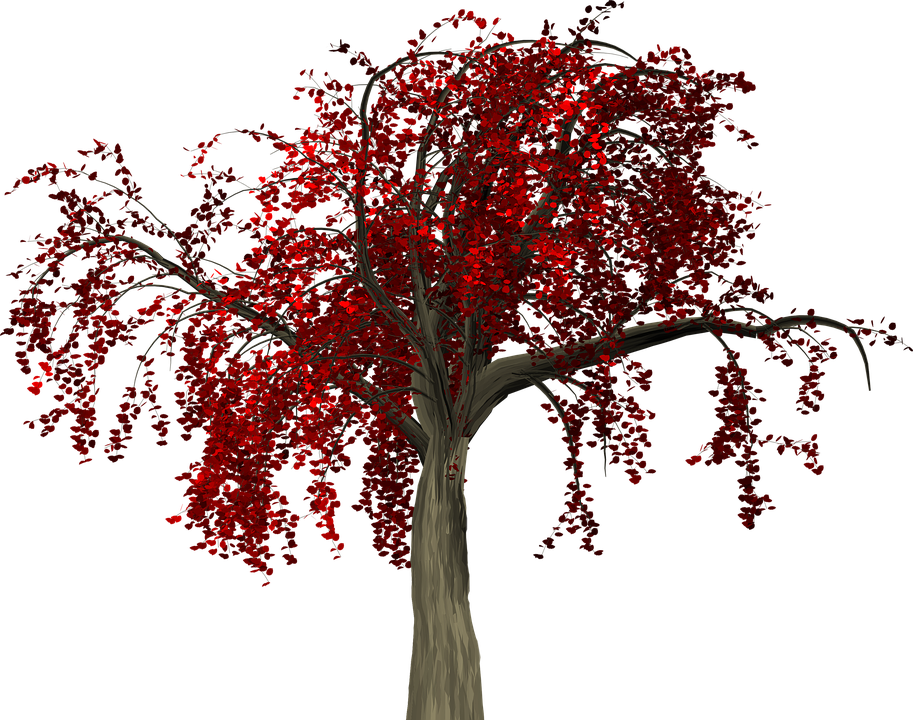 Tree Leaves 桌布 壁紙 — 一棵孤樹，帶有鮮紅色的葉子和深色的樹枝，在純黑色背景下顯得格外突出。