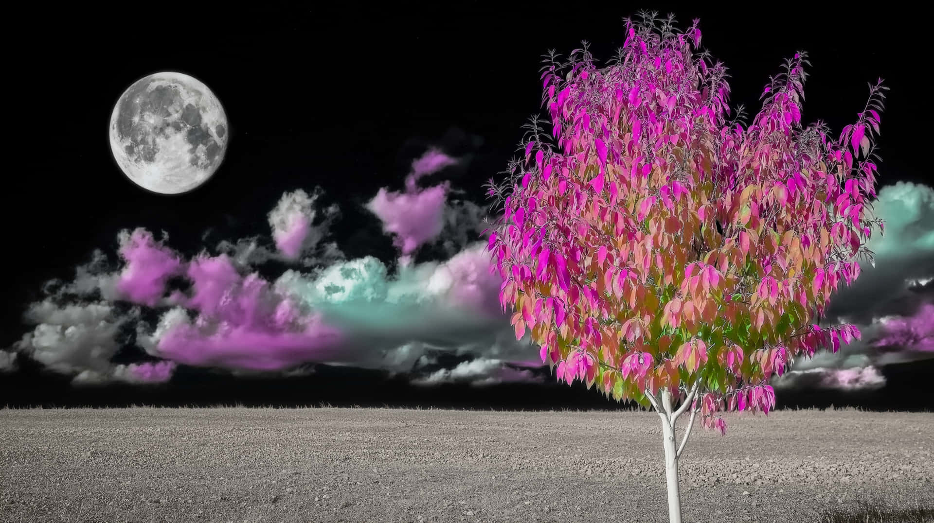 Autumn Moonlit Meadow 壁紙 — 一棵孤樹，帶有鮮豔的粉紅色和綠色葉子，站在單色田野中，滿月下有紫色和藍綠色的雲。
