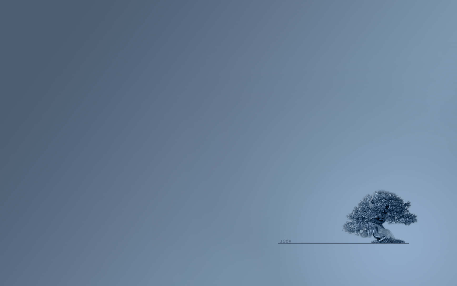 Best Minimal 桌布 壁紙 — 一棵孤樹，枝葉繁複，獨自矗立在廣闊的漸變藍天下，喚起寧靜的孤獨與韌性。