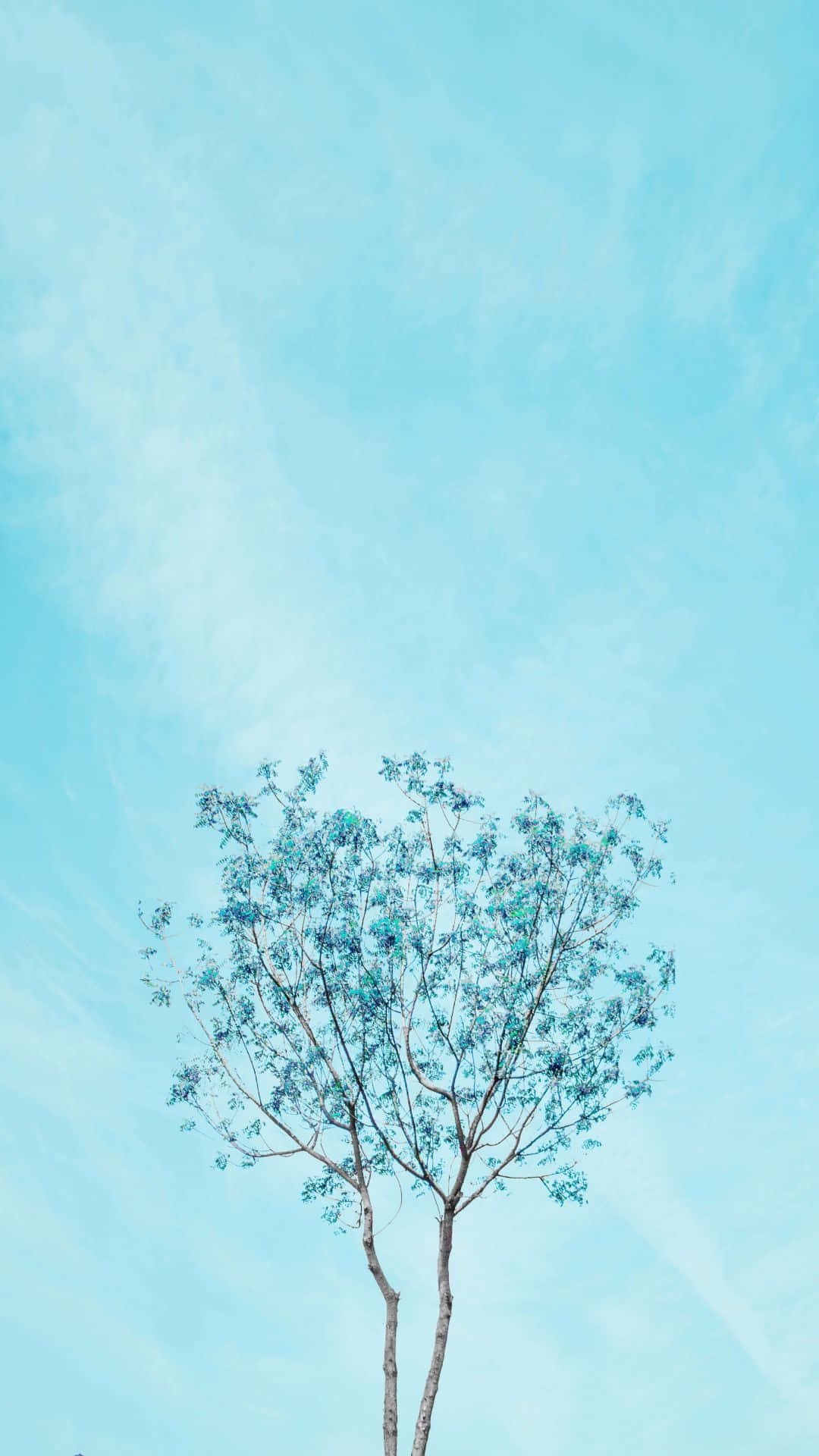 Cyan Aesthetic 桌布 壁紙 — 一棵孤樹，葉子稀疏，呈藍綠色，襯著廣闊的淡藍色天空，天空中有柔和的縷縷雲彩。