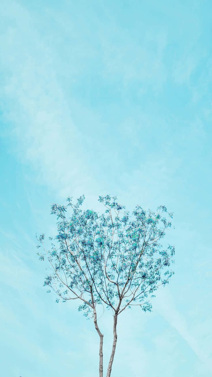 Pastel Blue 桌布 壁紙 — 一棵孤樹，長著稀疏的藍綠色葉子，矗立在廣闊的淡藍色天空下，天空中有柔和的縷縷雲彩。
