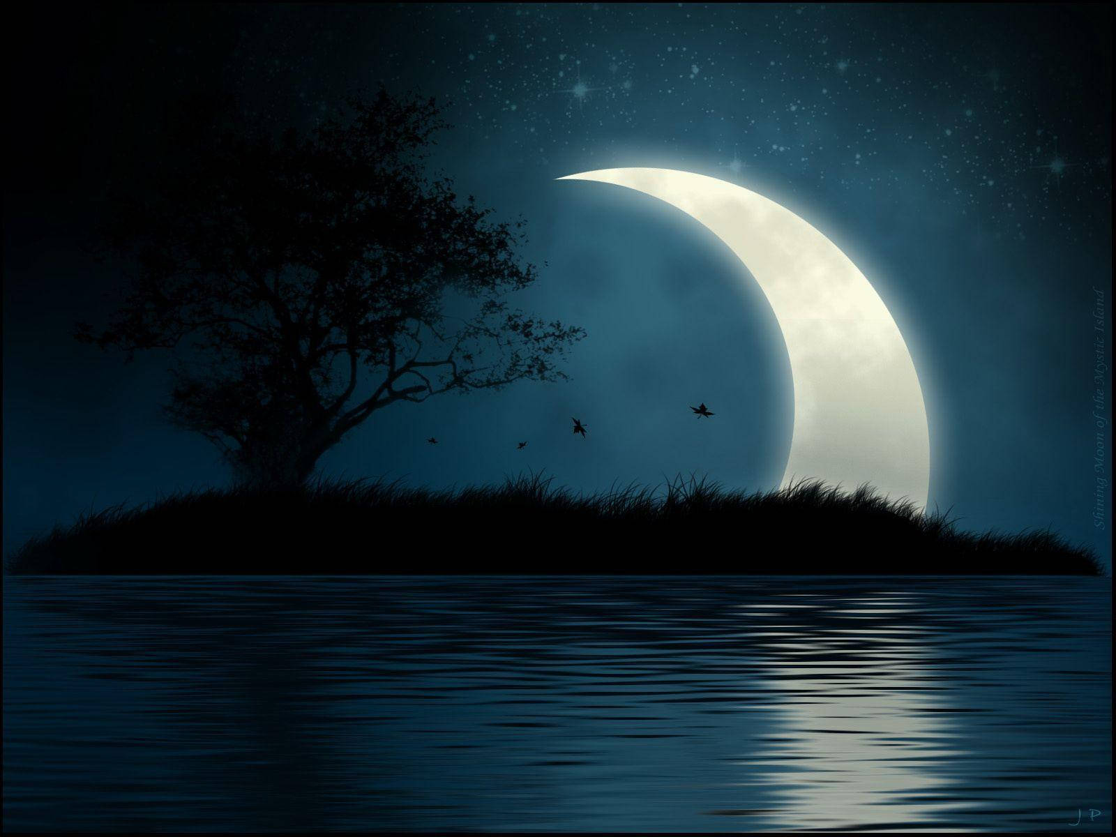 Crescent 桌布 壁紙 — 一棵孤樹剪影在一個小島上，下方是發光的彎月，映照在平靜的水面上，有飛鳥。