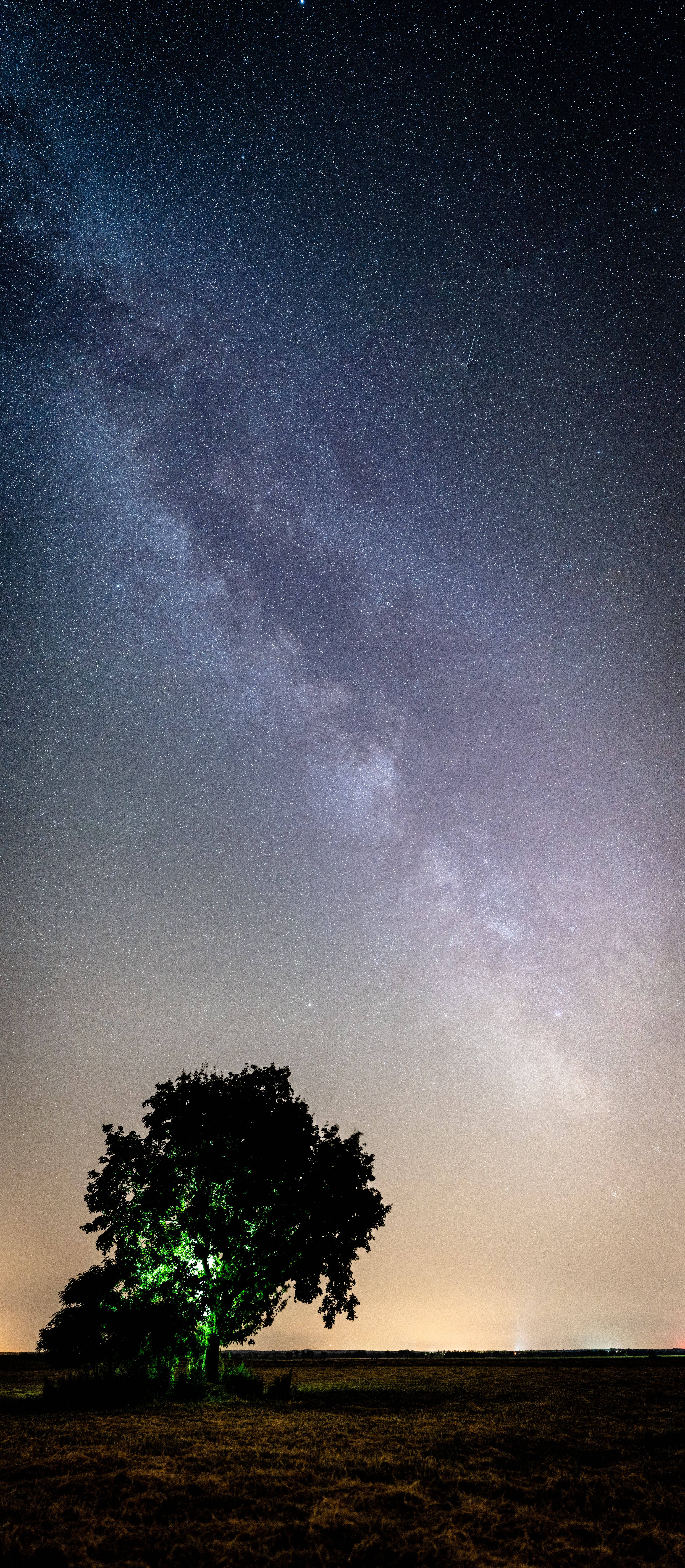 桌布 壁紙 — 一棵孤樹剪影映襯著充滿活力的星空，銀河拱掛其上。