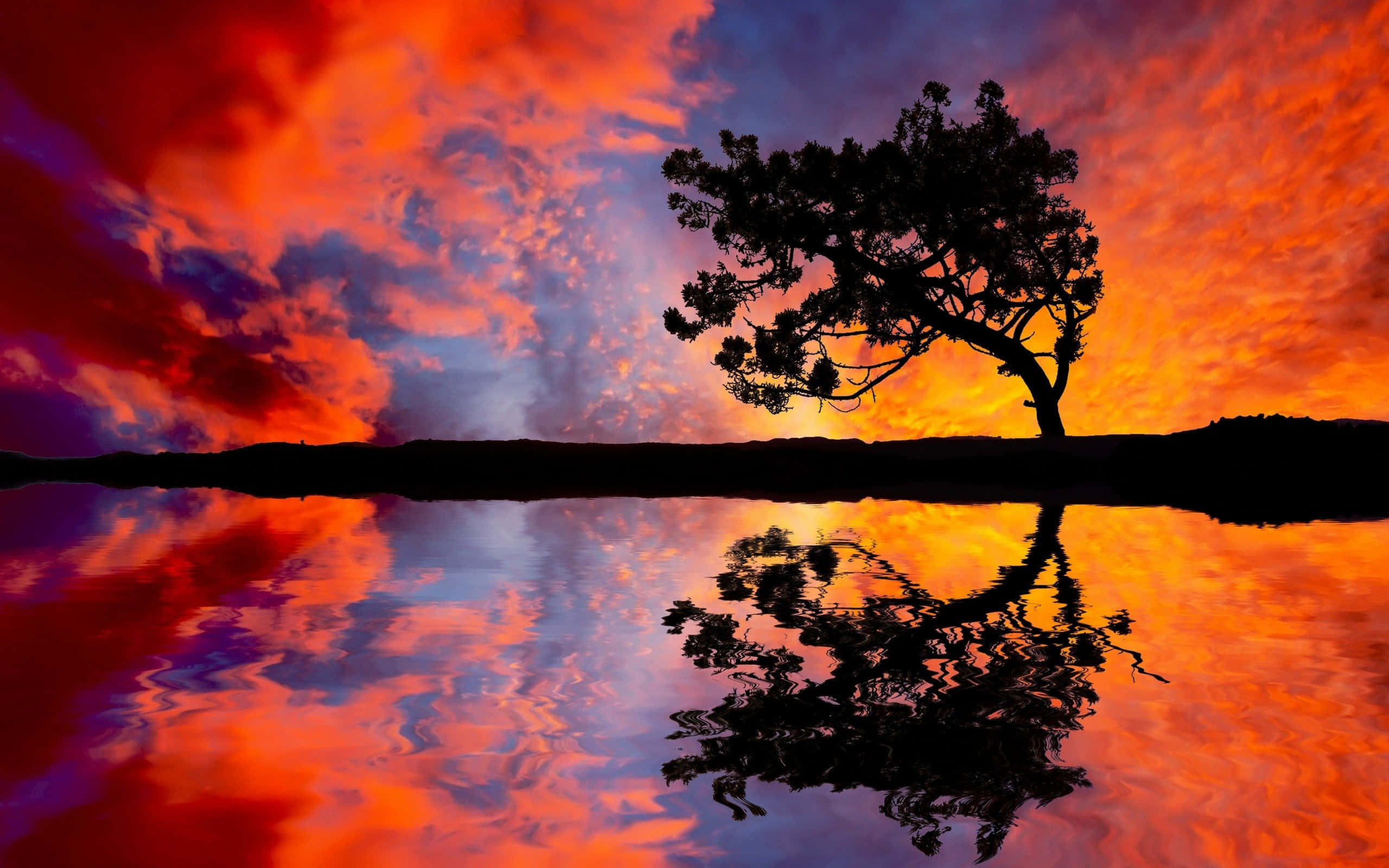 Sunset Reflection 桌布 壁紙 — 一棵孤樹在寧靜的水面上映襯著火紅的日落天空剪影。
